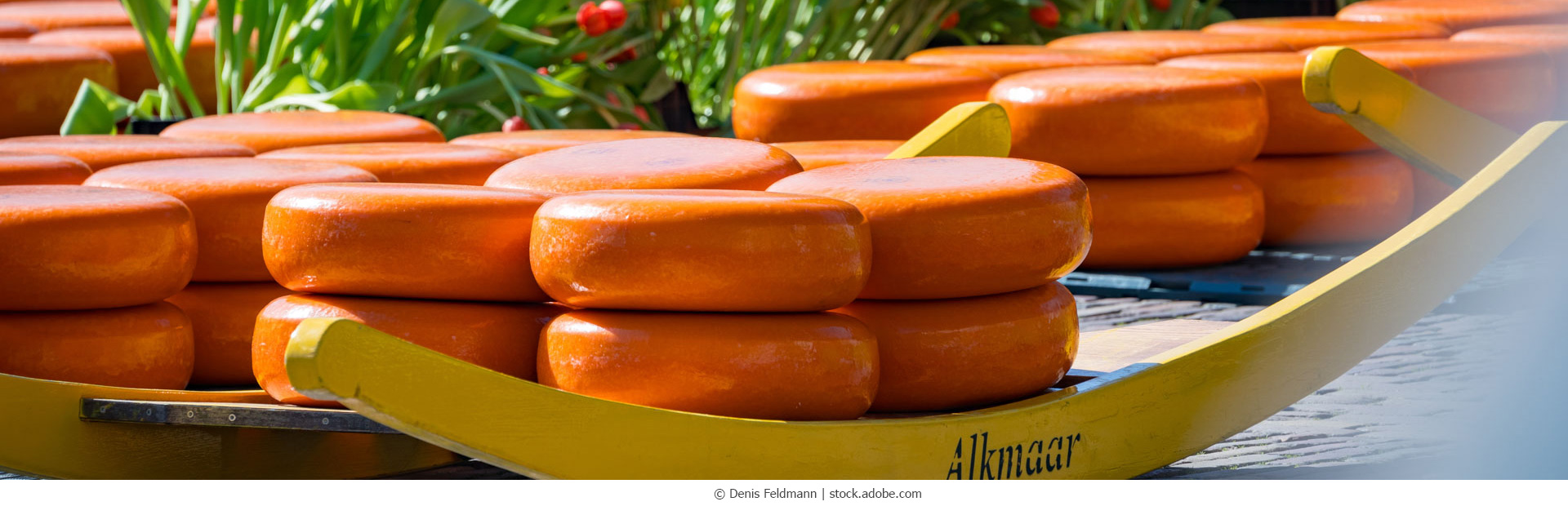 Alkmaar, Käseschlitten